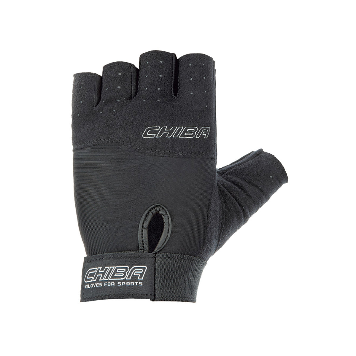 Handschuhe (8270011465992)