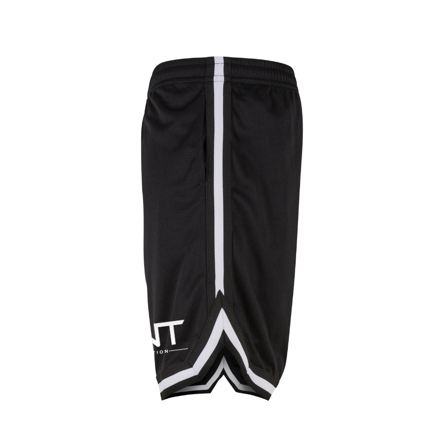 ZNT Nutrition Mesh Shorts (8464919888136)