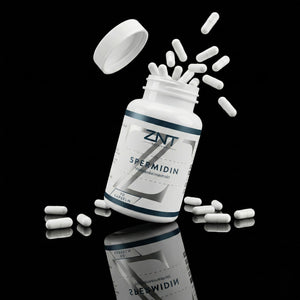 Spermidin